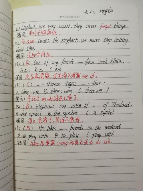 4月21-24 优秀作业--错题订正 单词抄写