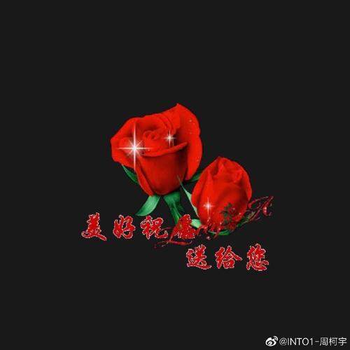 为什么就是找不到不谢的玫瑰花