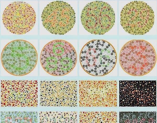 考驾照色盲测试:认不出来这4张图,可能就无法拥有驾照