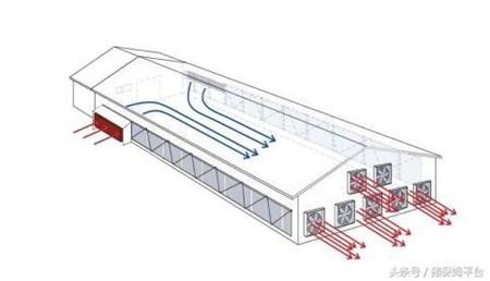 猪舍通风