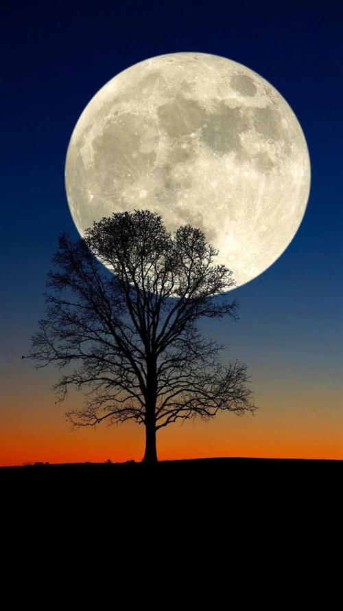 能否提供一些蓝色的,忧郁的窗户,月亮元素的壁纸?