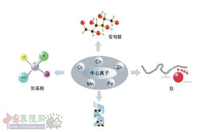 不同形态的矿物质对动物营养吸收的影响