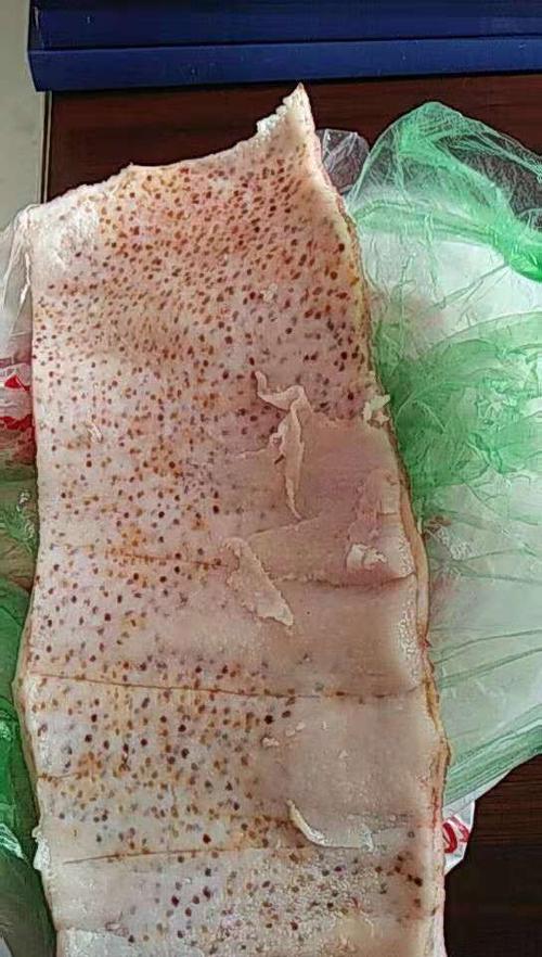 猪皮下有红色斑点,皮上及肉里都没有,不像是毛孔,可以