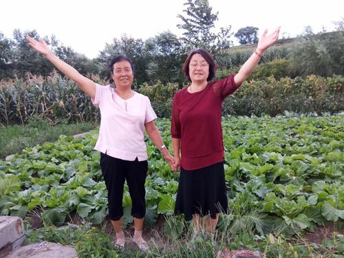 珲春采摘快乐游(一)同学聚会王玉利家(二)