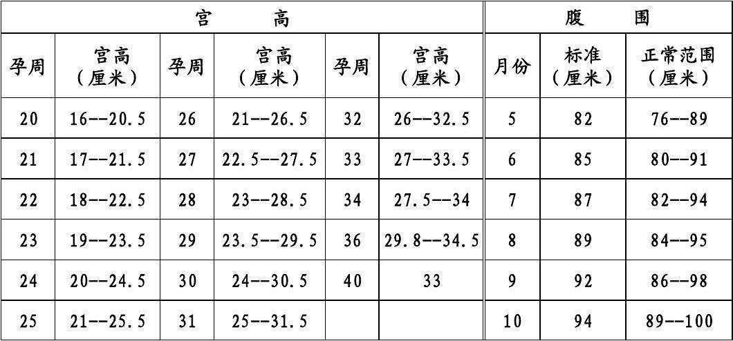 宫高,腹围的正常范围