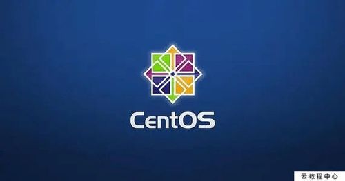 centos7安装mysql8数据库