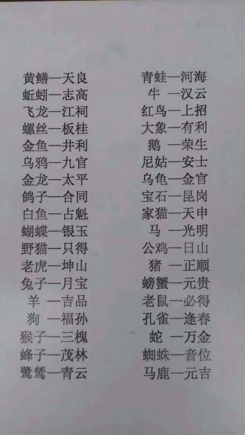 保岗,挂.提示,木梳.猜以下图中动物