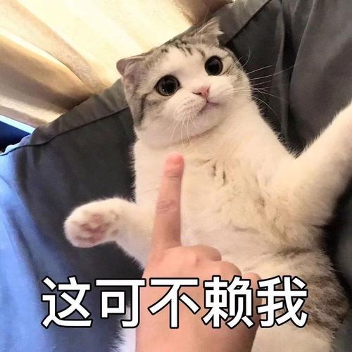 作为天秤女孩,想要得到我的回购,难度不下于让我放弃ggdd,但是aq它