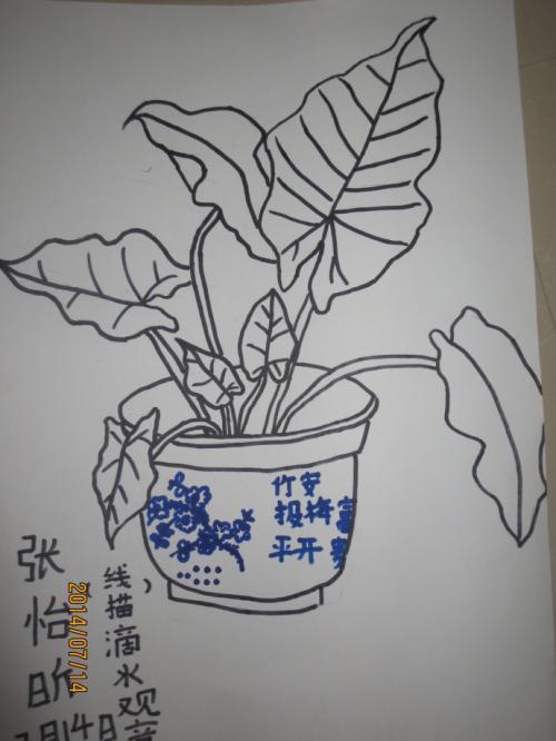 滴水观音的简笔画