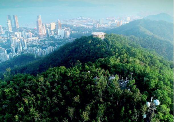 2019深圳南山荔枝文化旅游节启幕!