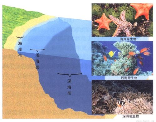 海洋的垂直结构
