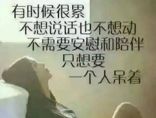 你心中积攒了太多的委屈,  可是身边始终没有一个懂自己的人.