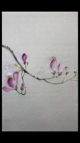 辛夷,又名紫玉兰.典型的瘦长型花瓣画法_国画_文化