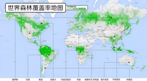 和贵州人聊一聊,森林覆盖率达到60%到底意味着什么?
