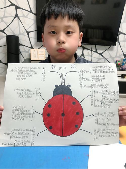 北正街小学三年级269班数学思维导图获奖作品集