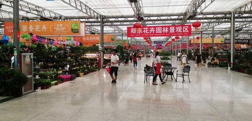 巨匠力作…"东区明珠" …郑东花卉市场2.0版全面升级改造