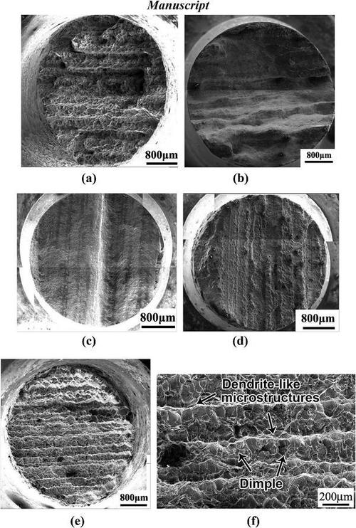(a)110062°c/13062mpa横向蠕变断裂试样的断口试验,lag换辖 