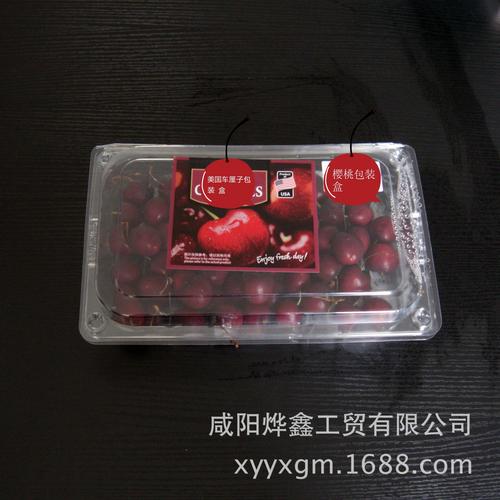 樱桃车厘子透明塑料包装盒水果包装盒生鲜盒