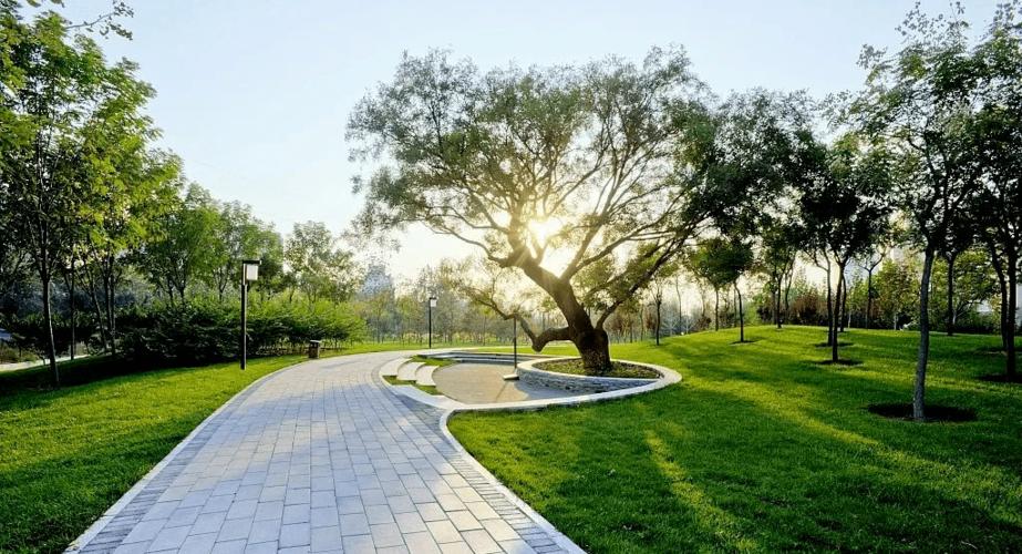 临泉城南今天开始!