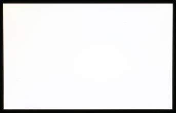 全白图片_一张全白的图片