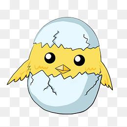 海鲜简约灰色banner