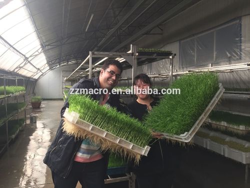 buy 发芽机,大麦发芽机,水培种子发芽设备 product on alibaba