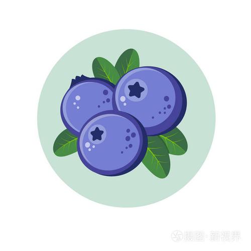蓝莓插图.绿色圆圈红色浆果