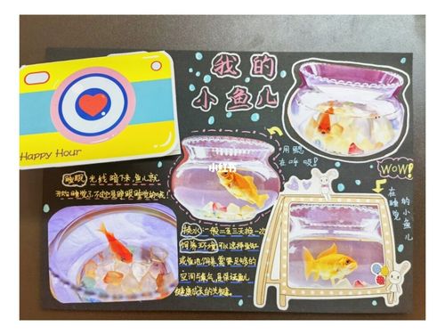 小学生饲养小动物记录卡~手抄报_手抄报_相片_嘉善县第二实验小学攻略