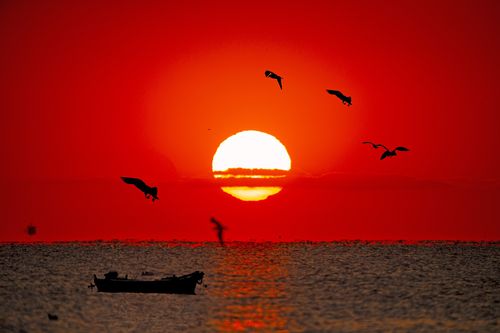 红霞满天一海上日出!