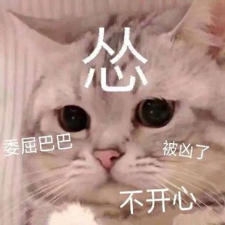 怂  委屈巴巴 被凶了 不开心_巴巴_开心_委屈表情