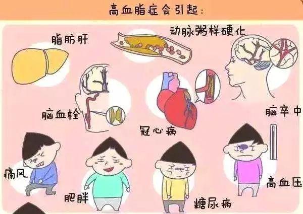 我国血脂异常发生率高,并有逐年上升趋势.