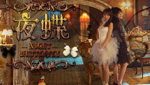 黄婷婷,李艺彤《夜蝶》官方版