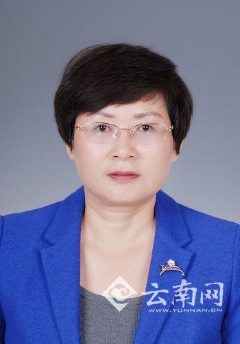 历任思茅地区思茅市副市长,思茅市规划局局长,普洱市建设局党组书记