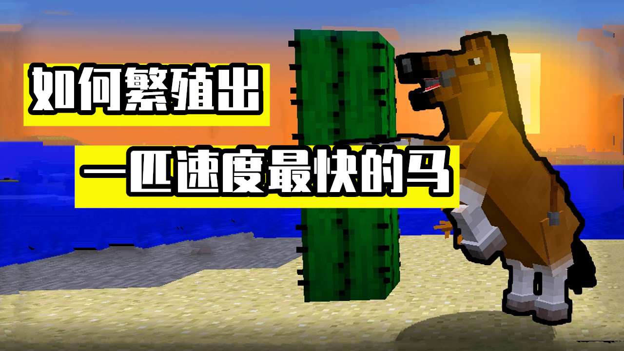 minecraft:马的遗传基因学,如何繁殖出一匹"日行千里"