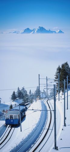 手机壁纸 | 开往春天的列车