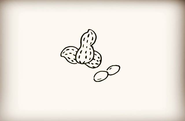 简笔画-花生