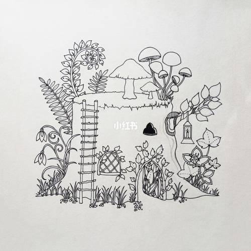 黑白插画 秘密花园 临摹