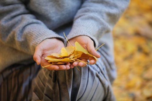 深秋银杏拍照修图全攻略