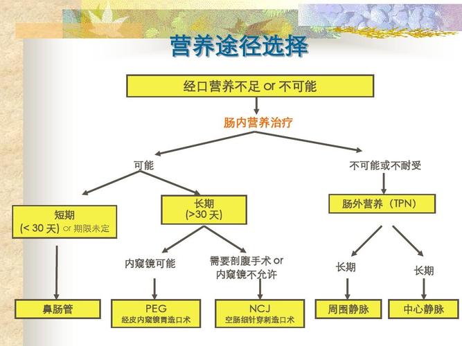 营养途径选择 经口营养不足 or 不可能 肠内营养治疗