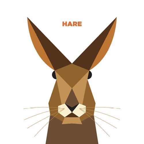 jag nagra简约的动物插画作品.用最简单的几何图形组成形象图形.