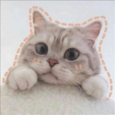 萌猫咪情侣头像一对