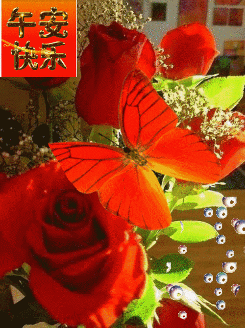 中午好动态祝福表情图片隔屏问候午安顺心愉快