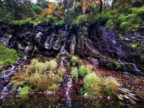 长白山十五道沟望天鹅景区