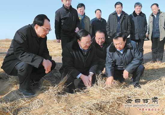 这是王三运在民勤县青土湖防沙治沙示范区考察压沙治沙成效.