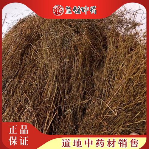 共109 件地下明珠相关商品