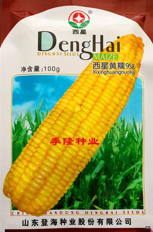 供应西星雪中梅甜糯玉米种子