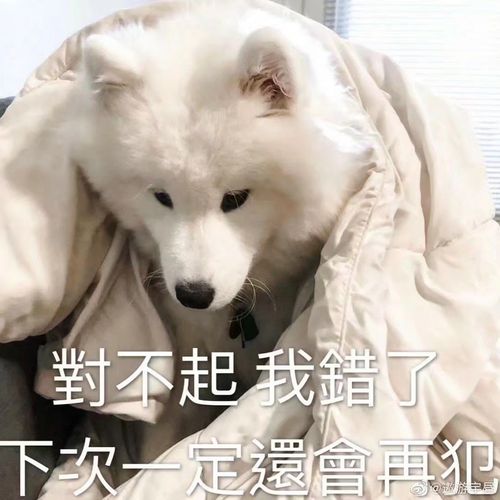 如图,昨天后来逛了一圈,灰溜溜的走了,跟朋友去吃了椰子鸡