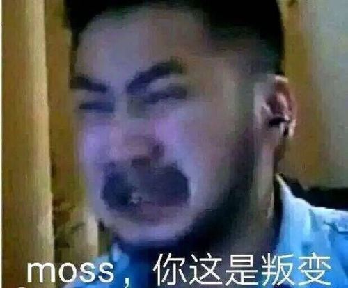 类型: 手游新闻    csgo的著名主播茄子可以说是相当的搞笑了,受到