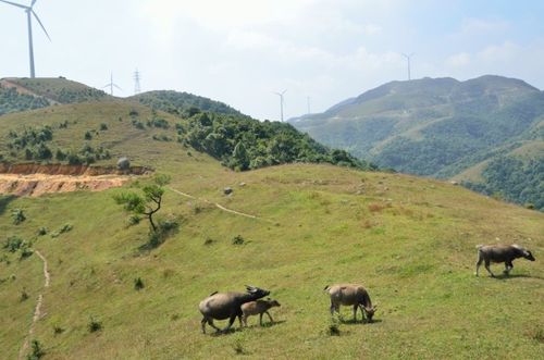 2014-10-14双石山越野之心