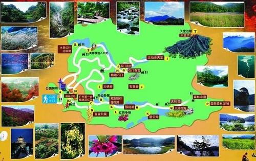 深秋到从化石门森林公园看枫叶